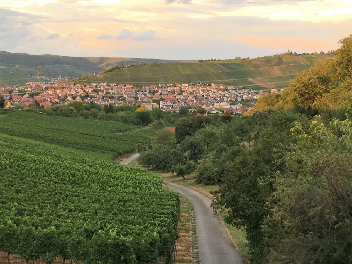 Ferienwohnungen Weinstadt Exteriér fotografie